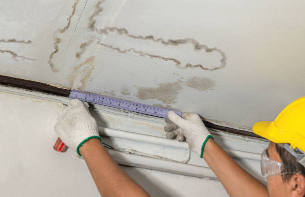 Reliable Water Damage contractor in Wharton, TX by Water Damage Irwin